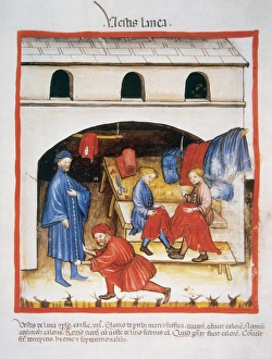 Tacuinum Sanitatis. Medieval Health Handbook, dated before 1400, based on observations Tacuinum Sanitatis. Medieval Health Handbook, dated before 1400, based on observations