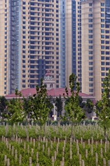 Tall apartment buildings next to vineyard at Chateau Changyu-Castel, a joint venture Tall apartment buildings next to vineyard at Chateau Changyu-Castel, a joint venture