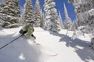 Telemark Skier enjoying blue sky powder day at Whitefish Mountain Resort in Montana Telemark Skier enjoying blue sky powder day at Whitefish Mountain Resort in Montana
