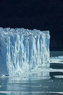 Terminal face of Perito Moreno Glacier and Lago Argentino. Parque Nacional Los Glaciares Terminal face of Perito Moreno Glacier and Lago Argentino. Parque Nacional Los Glaciares