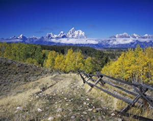 Teton Range and fence line fall colors, Grand Teton NP, Wyoming, September 2005 Teton Range and fence line fall colors, Grand Teton NP, Wyoming, September 2005