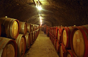 The Tibor Gal (GIA) winery in Eger (famous for Egri Bikaver): underground tunnels The Tibor Gal (GIA) winery in Eger (famous for Egri Bikaver): underground tunnels