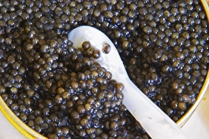 A tin of black caviar with slices of bread and a spoon of mother-of-pearl to scoop A tin of black caviar with slices of bread and a spoon of mother-of-pearl to scoop