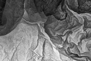 Tissue Paper on Light abstracts Tissue Paper on Light abstracts