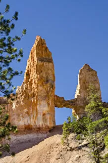 Images Dated 9th June 2013: Tower Bridge rock formation, Bryce Canyon National Park Utah, USA