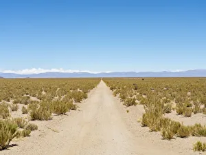 The track RN 38. Landscape near the salt flats Salar Salinas Grandes in the Altiplano The track RN 38. Landscape near the salt flats Salar Salinas Grandes in the Altiplano