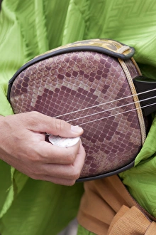 The traditional Japanese stringed instrument known as the shamisen The traditional Japanese stringed instrument known as the shamisen