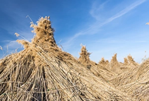 Traditional reed stack in the hungarian Puszta, Hortobagy NP, UNESCO world heritage Traditional reed stack in the hungarian Puszta, Hortobagy NP, UNESCO world heritage