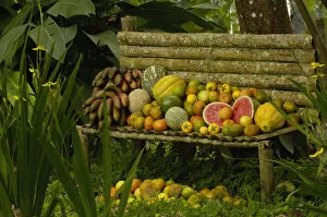 Images Dated 16th June 2005: Tropical fruit ECUADOR. South America