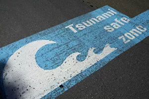 Tsunami Gallery: Tsunami safe zone sign, Wellington, North Island, New Zealand