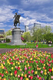 Tulips and George Washington statue at the Boston Public Garden, Boston, Massachusetts Tulips and George Washington statue at the Boston Public Garden, Boston, Massachusetts