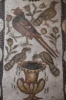 Images Dated 3rd March 2010: Tunisia, Tunis, Bardo Museum, Roman-era mosaics