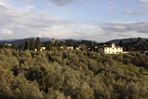 Tuscan countryside in the outskirts of Florence Tuscan countryside in the outskirts of Florence