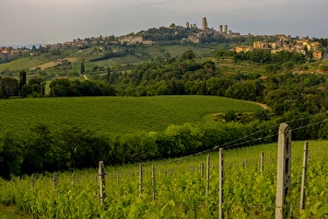Typical Rolling Hills Landscape. San Gimignano Skyline. Tuscany. Italy Typical Rolling Hills Landscape. San Gimignano Skyline. Tuscany. Italy