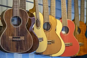 Ukulele music store hotsell