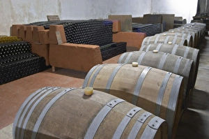 The underground ageing cellar with thousands of bottles and oak barrels for aging the wine The underground ageing cellar with thousands of bottles and oak barrels for aging the wine