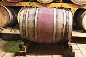 The underground wine cellar with old oak barrels for storing the wine. VitaI Vitaai The underground wine cellar with old oak barrels for storing the wine. VitaI Vitaai