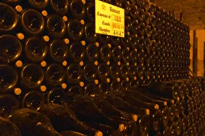 In the underground winecellar that is an old chalk quarry: thousands (4047) of bottles In the underground winecellar that is an old chalk quarry: thousands (4047) of bottles