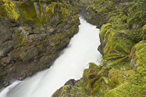 The upper Rogue river flows through a gorge, Oregon The upper Rogue river flows through a gorge, Oregon