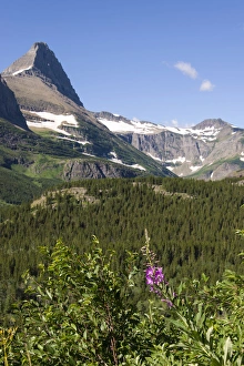 US, MT, Glacier NP. Many Glacier area. Vistas from Iceberg Lake trail US, MT, Glacier NP. Many Glacier area. Vistas from Iceberg Lake trail