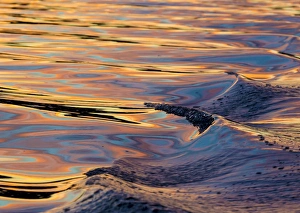 US, WA. Patterns of reflected sunset in boat wake Puget Sound US, WA. Patterns of reflected sunset in boat wake Puget Sound