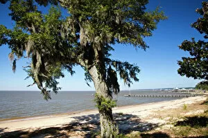 Images Dated 23rd October 2009: USA, Alabama, Fairhope. Beach on Mobile Bay