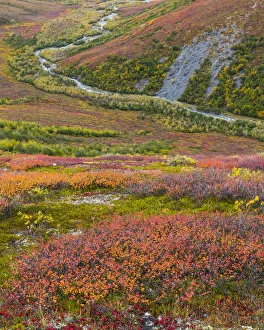 USA, Alaska, Brooks Range. Tundra and Dietrich River USA, Alaska, Brooks Range. Tundra and Dietrich River