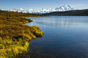 Images Dated 8th September 2005: USA, Alaska, Denali National Park, fall colors, Denali