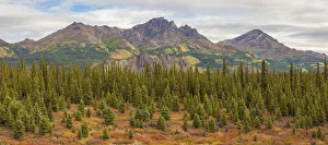 USA, Alaska. Fall colors near Denali National Park USA, Alaska. Fall colors near Denali National Park