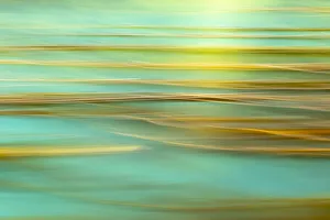 USA, Alaska, Inian Islands. Abstract of kelp in motion. Credit as USA, Alaska, Inian Islands. Abstract of kelp in motion. Credit as