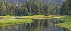 USA, Alaska. Panoramic of meadow at high tide in Tongass National Forest USA, Alaska. Panoramic of meadow at high tide in Tongass National Forest