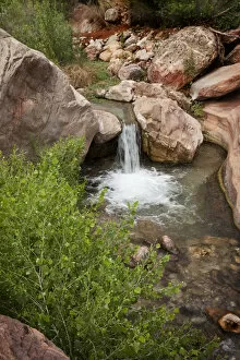 Images Dated 19th July 2013: USA, Arizona, Grand Canyon National Park. Scenic of Deer Creek waterfall and pool