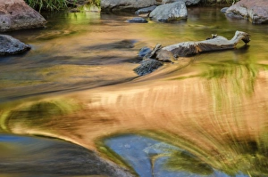 USA, Arizona, Sedona. Autumn reflections on water USA, Arizona, Sedona. Autumn reflections on water