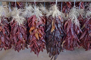 USA, Arizona, Sedona, Hanging dried chili peppers