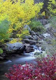 USA, California, Eastern Sierra, Bishop Creek during autumn USA, California, Eastern Sierra, Bishop Creek during autumn