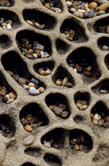 USA, California. Pebbles collected in rock cavities USA, California. Pebbles collected in rock cavities