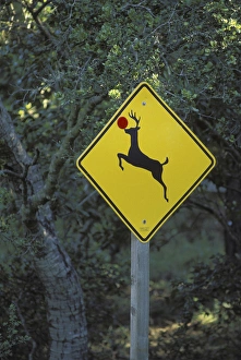 USA, California. A prankster converted a deer crossing sign into a Rudolph the reindeer USA, California. A prankster converted a deer crossing sign into a Rudolph the reindeer