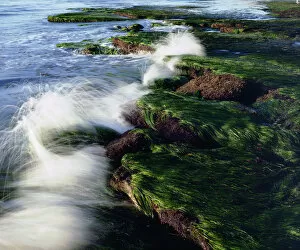 Sand Eel Gallery: USA; California; San Diego. Waves breaking on tidepools covered in eel grass