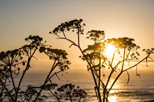 USA, California. Sunset over the Pacific Ocean, seen from Pacific Coast Highway on San USA, California. Sunset over the Pacific Ocean, seen from Pacific Coast Highway on San