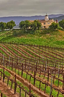 Images Dated 13th March 2011: USA, California, Temecula. Spring at Leoness Cellars in the Temecula wine country