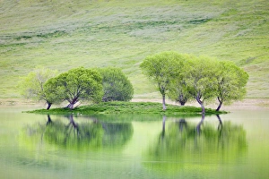 USA, California. Trees on island reflect in Black Butte Reservoir USA, California. Trees on island reflect in Black Butte Reservoir