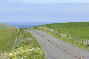 USA, California. Two-land road through Point Reyes National Seashore USA, California. Two-land road through Point Reyes National Seashore