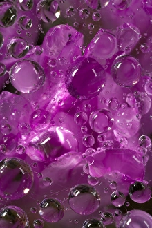 USA, California. Water droplets on a spider web USA, California. Water droplets on a spider web