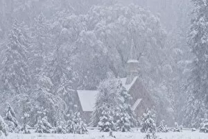 Images Dated 26th October 2004: USA, California, Yosemite National Park. Yosemite Chapel in Snowstorm