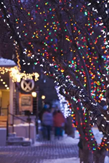 Images Dated 23rd December 2011: USA, Colorado, Aspen, Christmas tree lights, Mill Street Mall