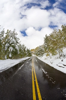 USA, Colorado, Aspen, Road Leading to Marron Bells, First Snow Autumn USA, Colorado, Aspen, Road Leading to Marron Bells, First Snow Autumn