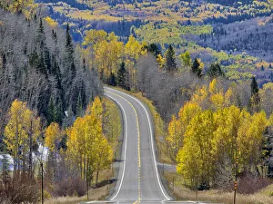 USA, Colorado. An empty Colorado highway 145 in midday surrounded by fall color near USA, Colorado. An empty Colorado highway 145 in midday surrounded by fall color near