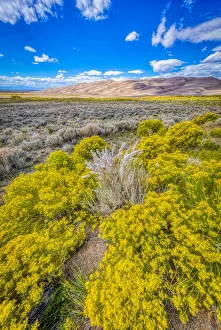 USA, Colorado, Great Sand Dunes National Park and Preserve. Grassy plain landscape USA, Colorado, Great Sand Dunes National Park and Preserve. Grassy plain landscape
