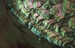 USA, Colorado, Lafayette. Abalone shell close-up USA, Colorado, Lafayette. Abalone shell close-up