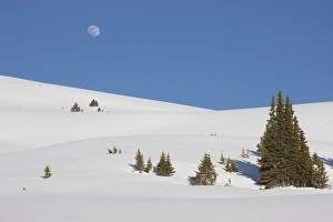 USA, Colorado. Moon rise above the Continental Divide USA, Colorado. Moon rise above the Continental Divide
